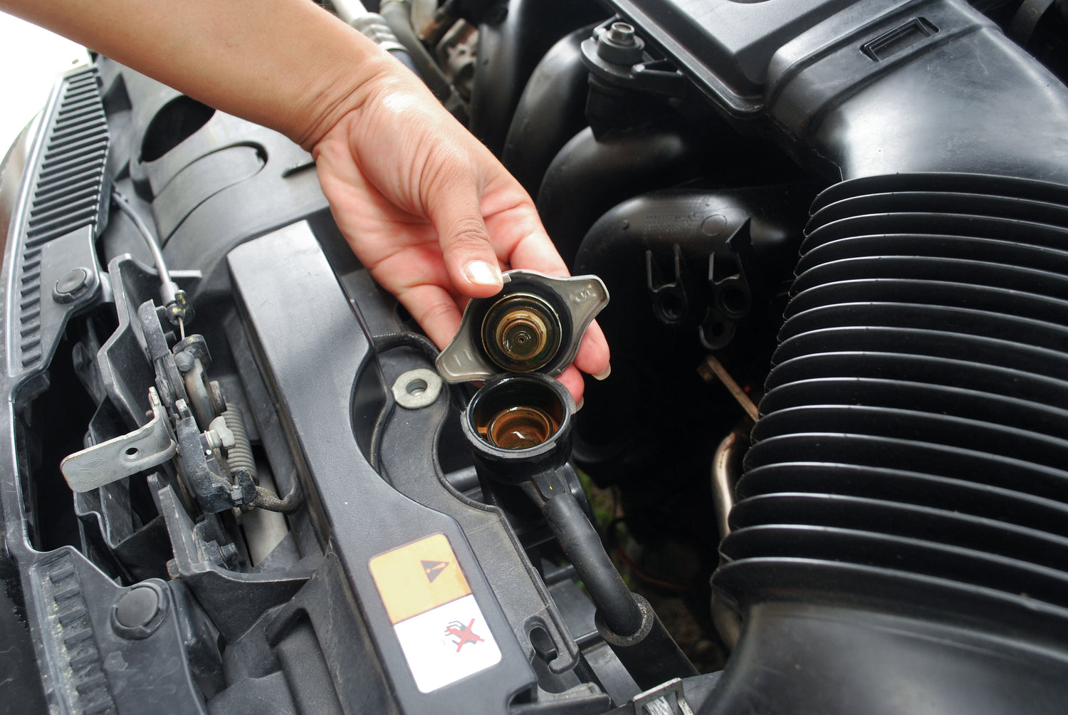 Coolants, Degreasers and Other Fluids